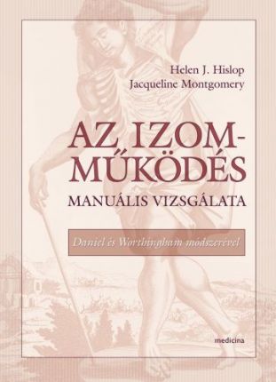 Az izomműködés manuális vizsgálata