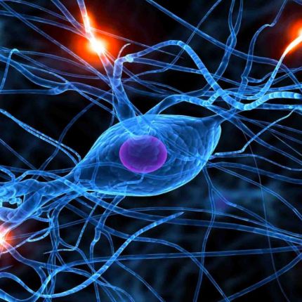 A fájdalom olyan, mint a hagyma: réteges