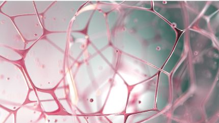 A mozdulatlanság átka