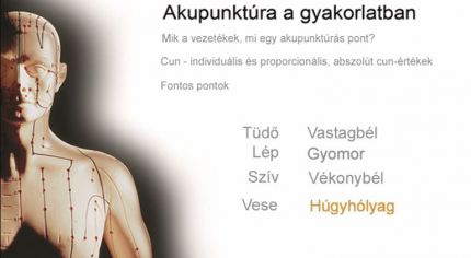 Akupunktúra a gyakorlatban oktató DVD - akupunktőröknek