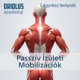 Passzív Ízületi Mobilizációk
