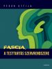 Fascia, a testtartás szervrendszere