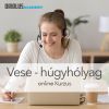 Vese, húgyhólyag