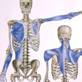 FDM? Flossing? Fascia tréning? Melyik a nekem való?