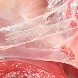 A hasi operációk árnyékában élni