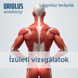 Ízületi vizsgálatok