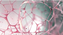 A mozdulatlanság átka