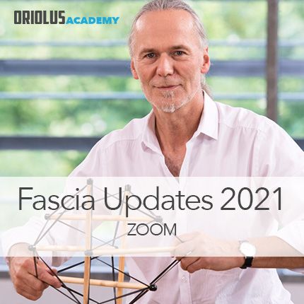 Fascia Update I./2021